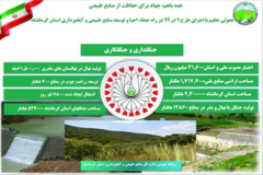 اینفوگرافیک