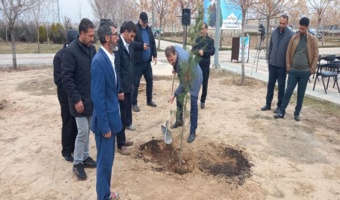 اجرای مراسم غرس نهال در گلسار با حضور مسئولان و مردم
