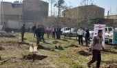 غرس ۱۰۰ اصله نهال در دانشگاه آزاد اسلامی واحد نظرآباد