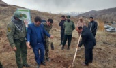 طالقان-عمل به شعار هر ایرانی ۳ درخت نمایانگر نظم و همدلی مردم ایران است