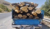 توقیف یک دستگاه خودروی نیسان حامل چوب  آلات غیر مجاز در جاده چالوس 