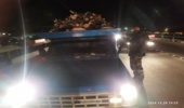 کشف محموله قاچاق چوب جنگلی در عملیات گشت  یگان حفاظت منابع طبیعی البرز
