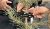 کاشت نهال به نام نوزادان در پویش «نفس‌های تازه» همزمان با صدور اولین شناسه ملی در چهارباغ