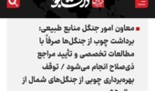 دانشجو