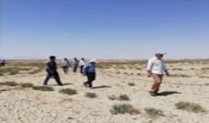 پروژه های بیابان زدایی در اولویت اقدامات اداره کل منابع طبیعی و آبخیزداری استان البرز