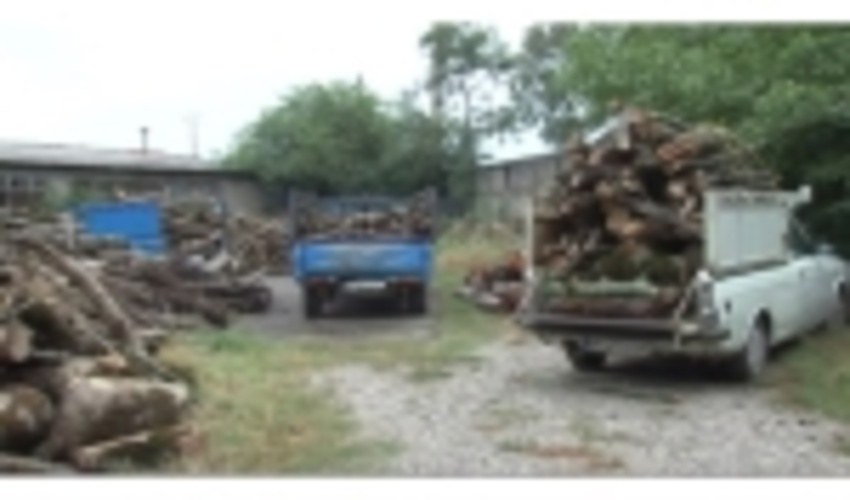 گلوگاه‌های قاچاق چوب در محورهای استان البرز شناسایی شد