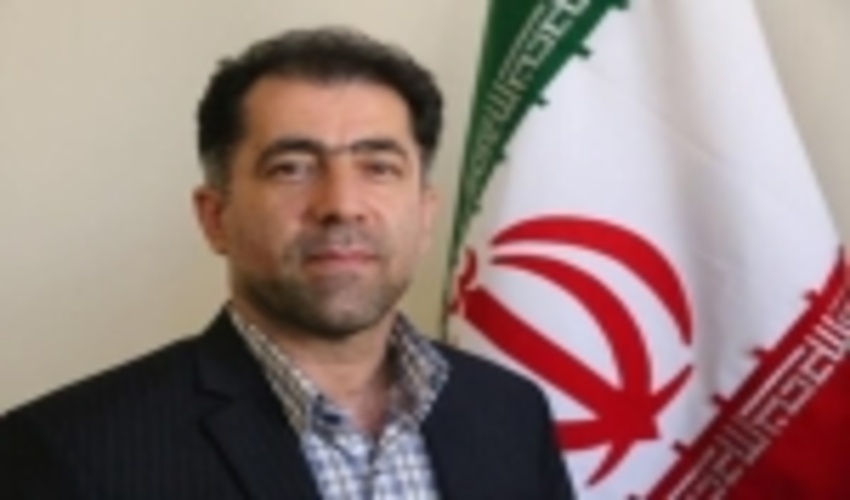 آغاز طرح زراعت چوب در البرز