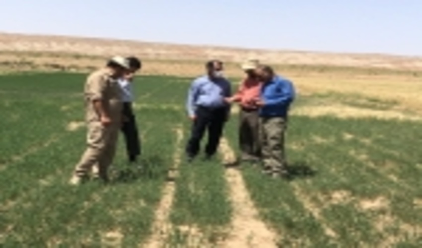 مبارزه با ملخ "شاخک کوتاه" در اراضی مرتعی و تاغ زارهای شهرستان اشتهارد