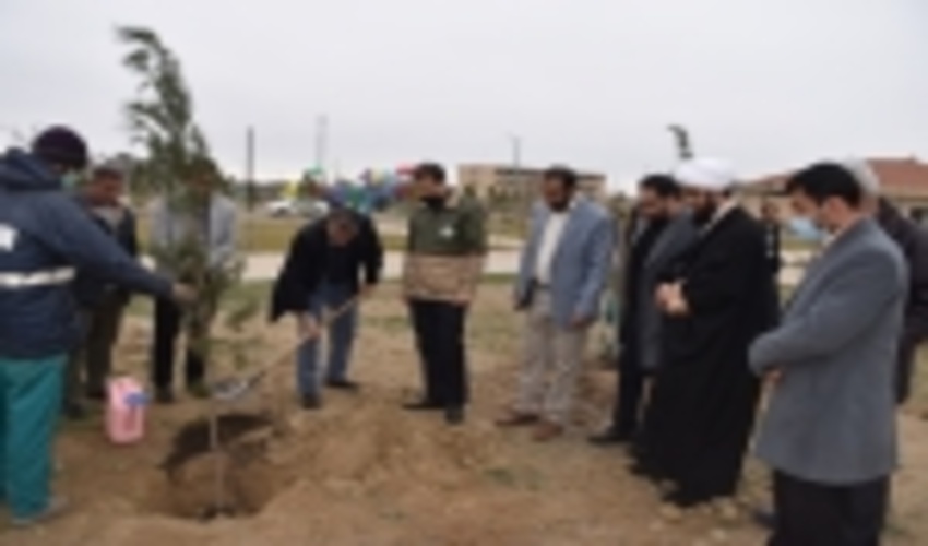 مشارکت شهرداری گلسار با اداره منابع طبیعی شهرستان ساوجبلاغ در افزایش سرانه فضای سبز