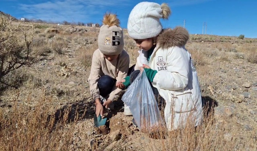 حضور معنوی و شورانگیز خادمین اهلبیت علیهم السلام، اعضاء ستاد عتبات عالیات کرج در آئین درختکاری