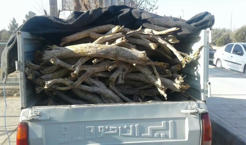 از فعالان عرصه حفاظت از منابع طبیعی شهرستان کرج تجلیل شد.