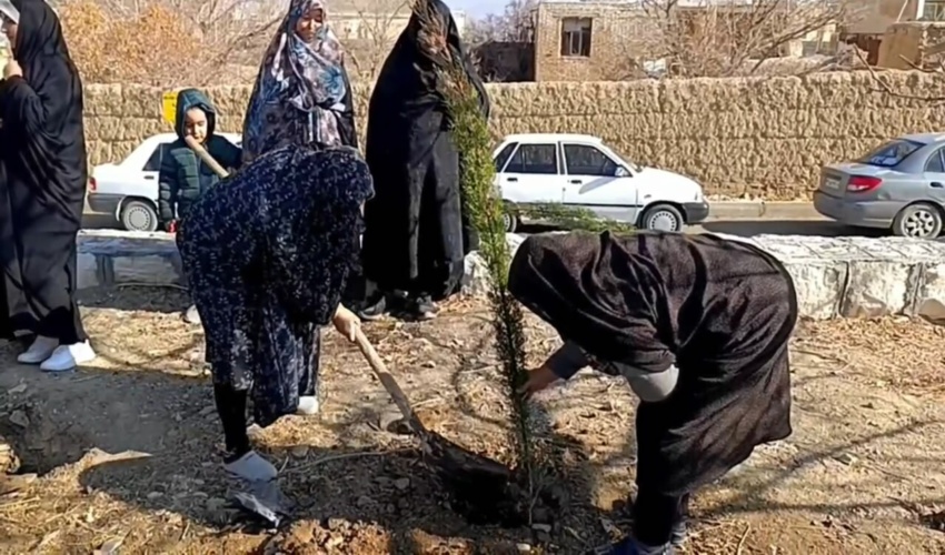 مدیران دستگاه های اجرایی، متولی اجرای برنامه های هفته منابع طبیعی طبق روز شمار این هفته هستند.