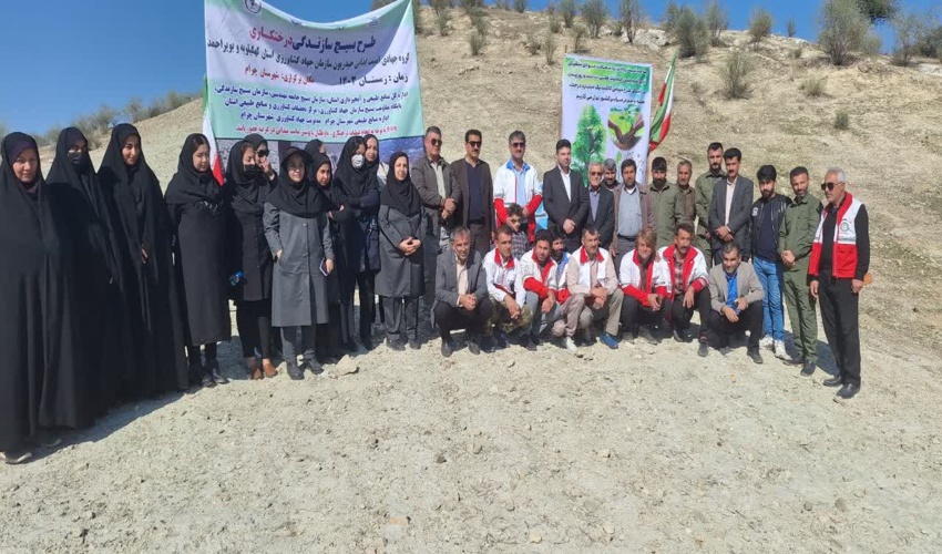 زراعت چوب گامی موثر در جهت تأمین چوب مورد نیاز کشور 