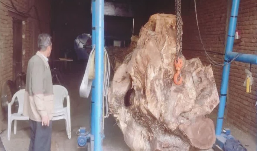 در راستای مقابله با زمین خواری، حفظ و صیانت از انفال و اراضی ملی، اجرای حکم رفع تصرف از 1726 متر مربع از اراضی ملی درده- همه جا از توابع شهرستان کرج اجرا شد.