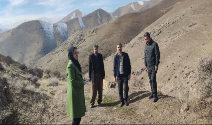 وجود ۷ سرجنگلبانی کوچک در جاده کرج - چالوس