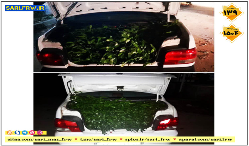 بازدید و دیدار حجت الاسلام و المسلمین داوودی  امام جمعه محترم شهرستان اشتهارد از اداره منابع طبیعی و آبخیزداری شهرستان اشتهارد 