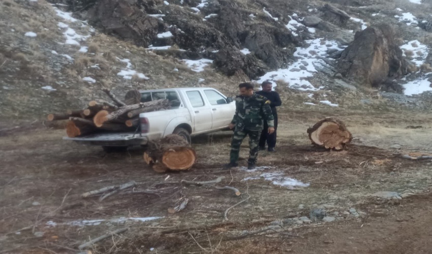 2 هزار کارگاه آبخیز داری در کشور فعال شد
