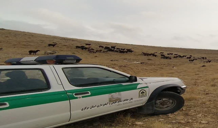 اخذ سند مالکیت دولت در اراضی ملی امامزاده کردان شهرستان ساوجبلاغ