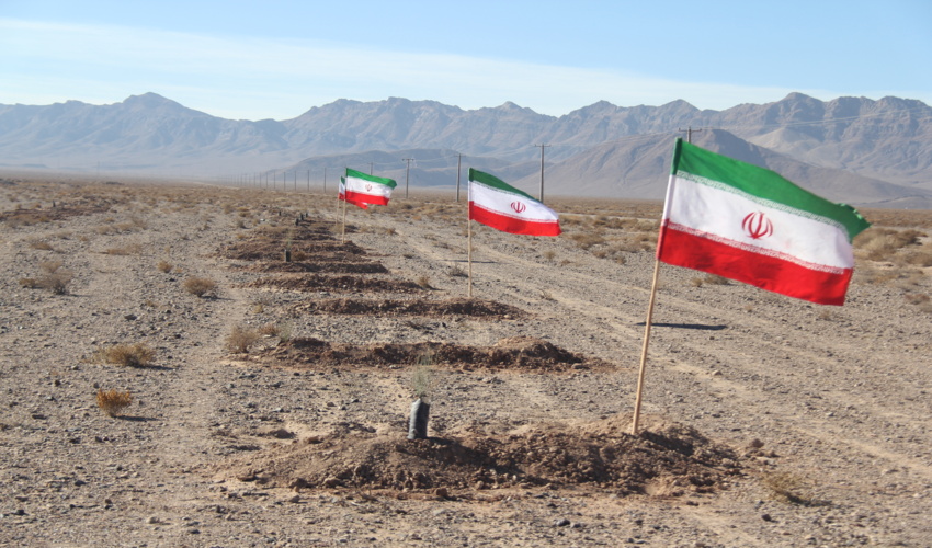 همکار گرانقدرمان؛ شوذب رادپور به دیار حق رفت 