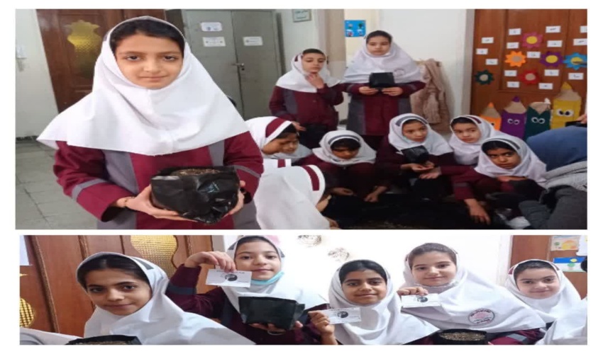 جلسه ای با حضور رئیس اداره منابع طبیعی ساوجبلاغ و شورا و جوامع محلی جهت رسیدگی به مشکلات اهالی روستای شلمزار برگزار شد.