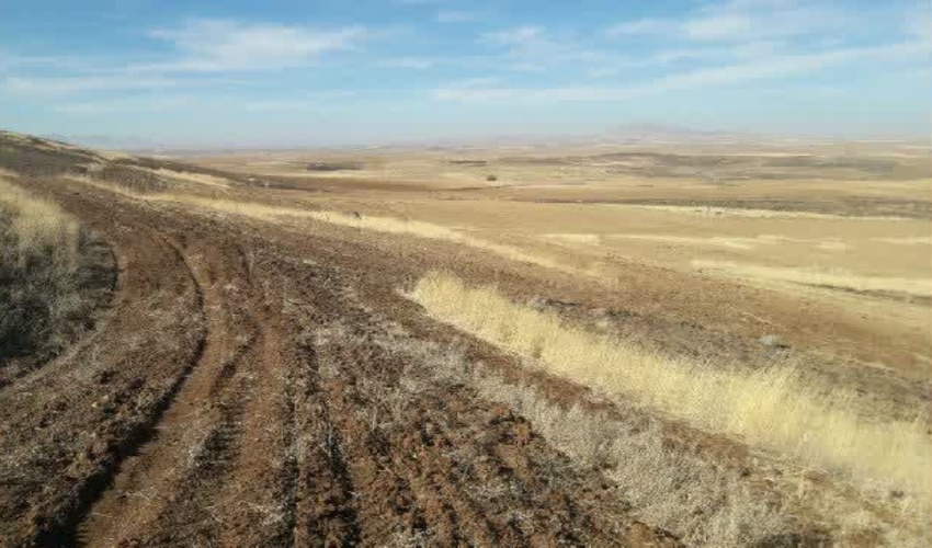 بازدید معاون هماهنگی امور عمرانی استانداری استان البرز و هیات همراه از اداره کل منابع طبیعی و آبخیزداری استان 