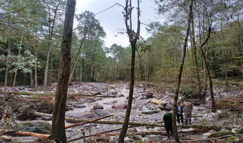 تشکیل تعاونی هاي تخصصي ، پل ارتباطی بین مردم و منابع طبیعی 