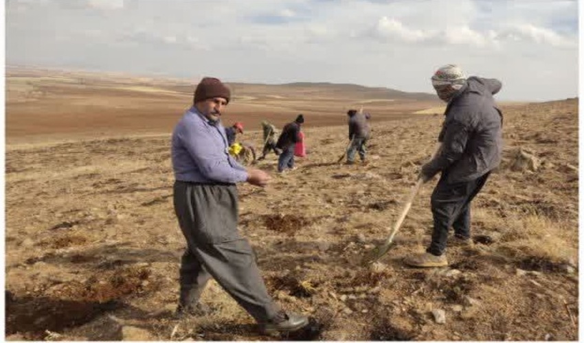 مدیر کل منابع طبیعی البرز تاکید کرد، حفاظت از اراضی ملی و مرتعی منطقه با کمک ساکنین حوزه آبخیز، دهیاران و شوراهای بخش با قوت بیشتری ادامه می یابد.