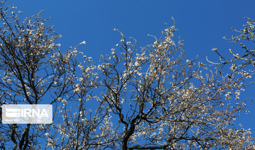 اقدامات آبخیزداری گامی موثر درجهت تحقق جهش تولید 