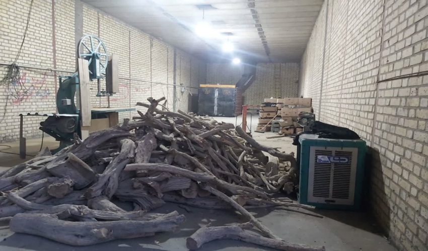 تعاونی های توسعه روستایی منابع طبیعی مسئول اجرای پروژه‌های منابع طبیعی خواهند شد.