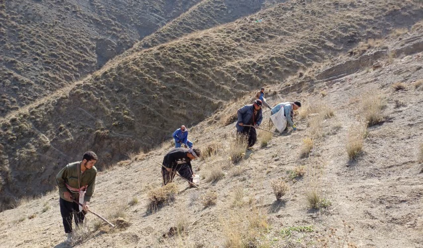 انعقاد تفاهم نامه همکاری مشترک فیمابین ادارات کل منابع طبیعی و آبخیزداری و بنیاد مسکن انقلاب اسلامی استان البرز