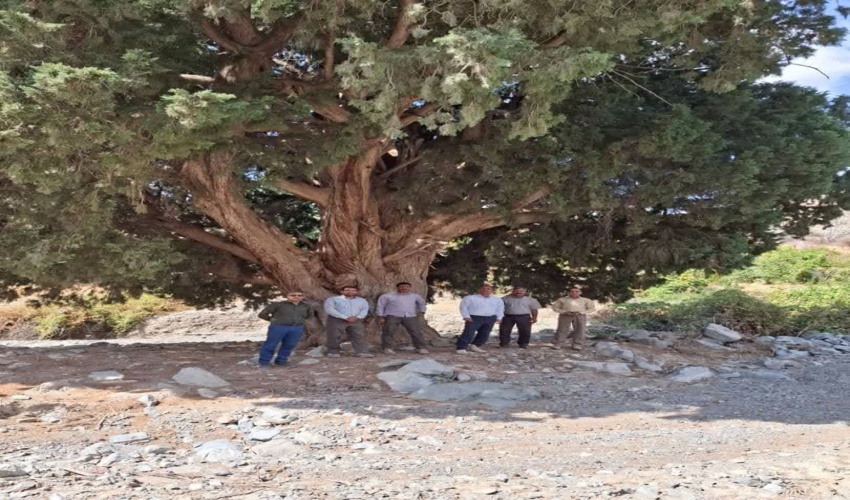 دریافت تندیس و لوح تقدیر اداره کل منابع طبیعی البرز به مناسب دستگاه اجرایی برتر در جهت پاسخگویی به رسانه و  تعامل با صدا وسیما