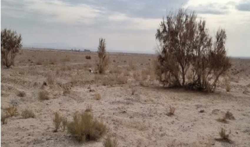 مانور اطفاء حریق در مراتع و جنگل ها، با حضور جمع کثیری از مردم و مسئولان در روستای ولیان شهرستان ساوجبلاغ برگزار شد.