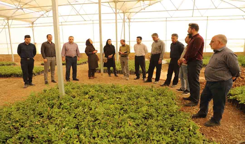 نتیجه اقدامات صورت پذیرفته رضایت بخش بوده و به منبع ارزشمند تولید بذور جنگلی در این پروژه دست یافته ایم.