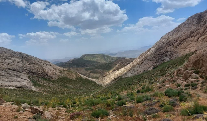 مدیرکل منابع طبیعی و آبخیزداری البرز با همکاران نظرآباد دیدار و گفتگو نمود.