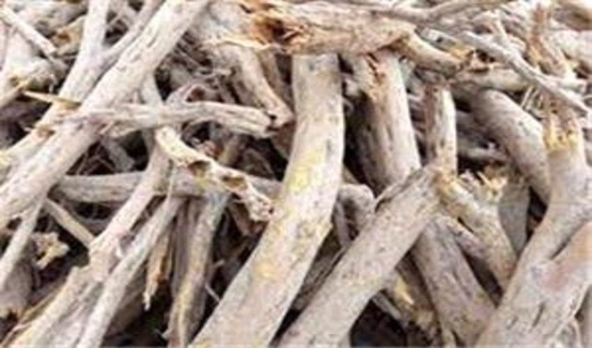 اداره منابع طبیعی و آبخیزداری شهرستان کرج در ارزیابی عملکرد ادارات از سوی معاون استاندار و فرماندار ویژه شهرستان کرج بالاترین رتبه ارزشیابی را در بین سایر ادارات کسب نمود.