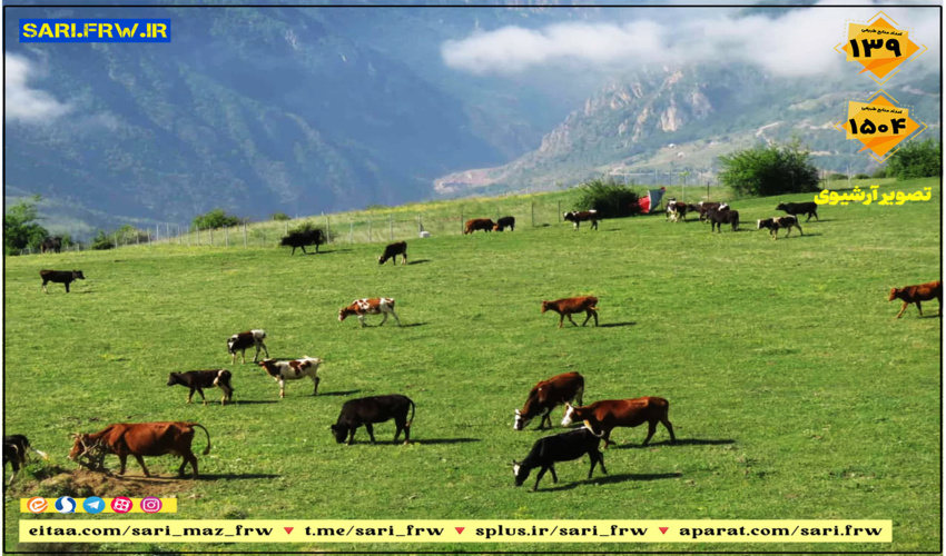 مهم ترین وظیفه مجموعه منابع طبیعی موضوع حفاظت از اراضی ملی است
