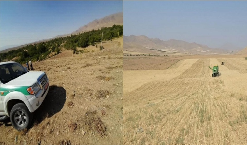 اقدامات آبخیزداری گامی موثر در جهت حفظ اراضی کشاورزی