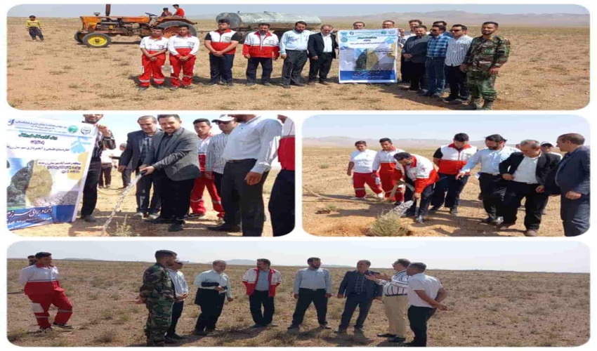 ۳۰ هزار هکتار از اراضی کشور به زراعت چوب اختصاص یافت