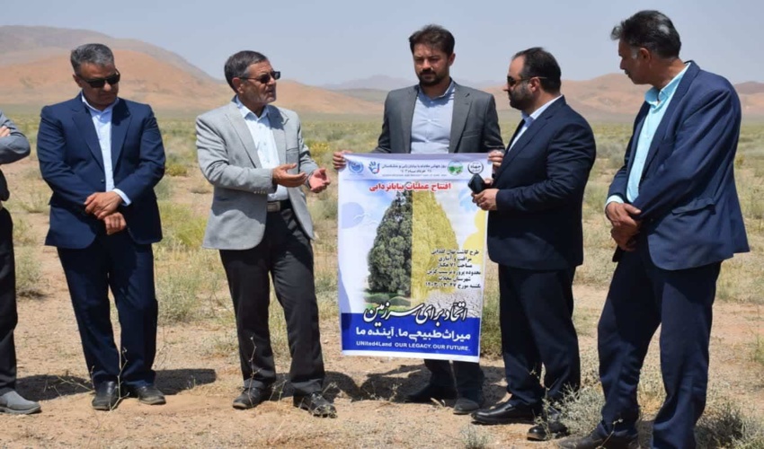 زراعت چوب عاملی برای به چرخش در آمدن صنعت سبز کشور