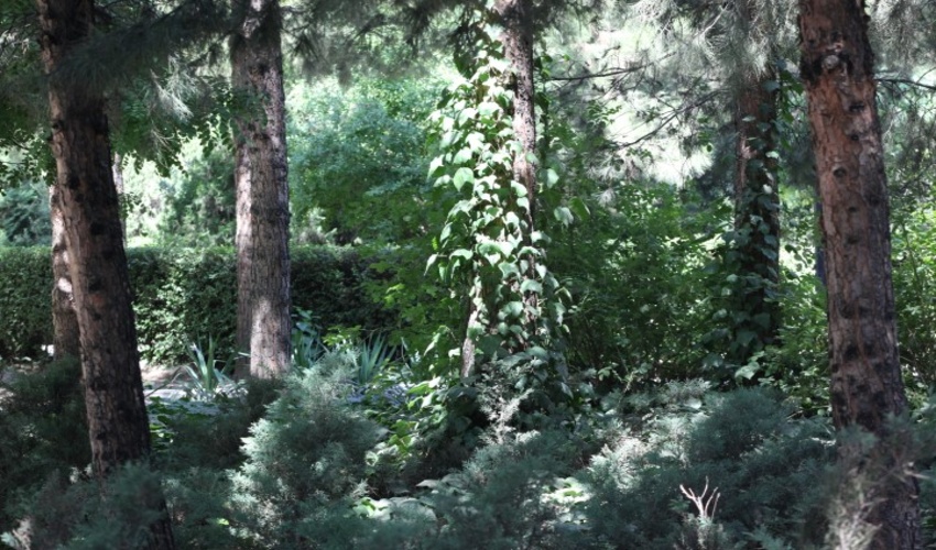 دیدار رئیس اداره منابع طبیعی شهرستان اشتهارد با اهالی  روستای ایپک 