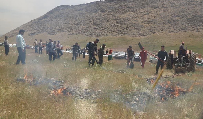 تعامل ادارات منابع طبيعي و تعاون روستايي در راستاي توسعه تعاوني هاي تخصصي