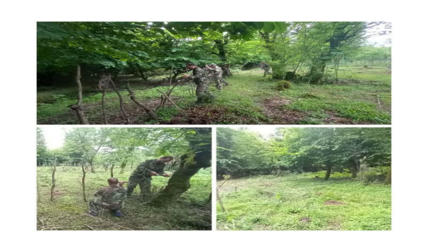 رفع تصرف 500 متر مربع از اراضی ملی شهرستان کرج