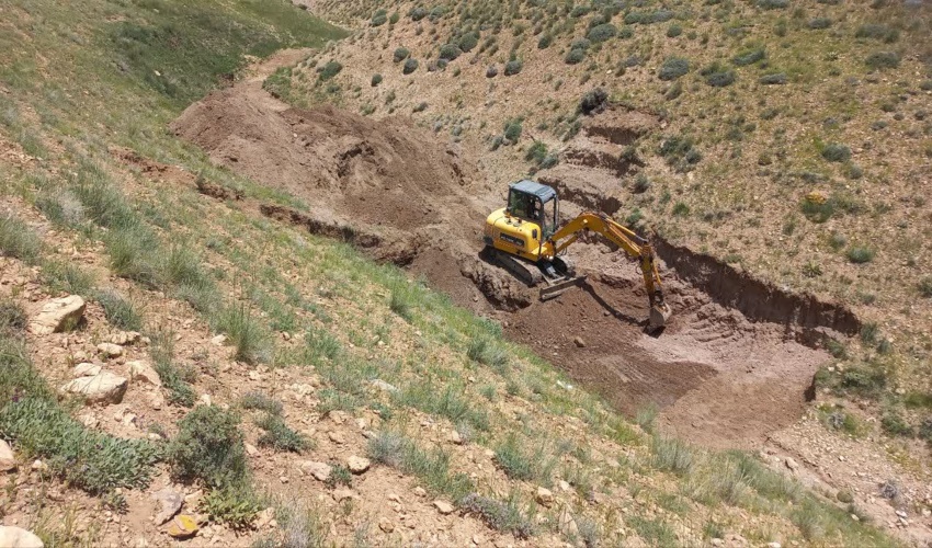 نهالکاری همگانی، برای ایرانی سرسبز