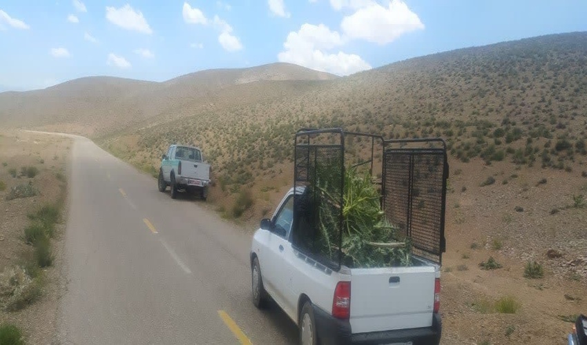 جلسه مشترک با مرتعداران روستای آزادبر از توابع بخش آسارا شهرستان کرج