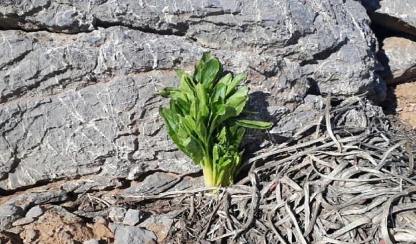 برگزاری دوره آموزش ضابطین دادگستری در اداره کل منابع طبیعی و آبخیزداری البرز 