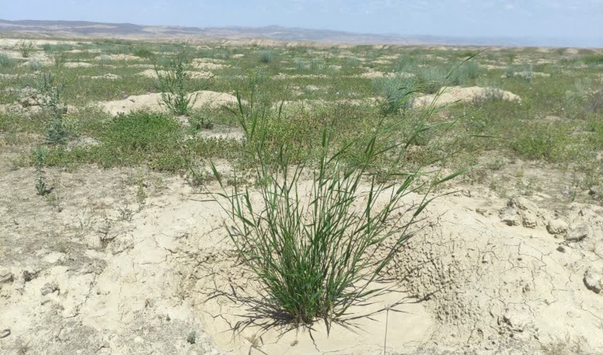 فراخوان مناقصه پروژه عمليات آبخيزداري حوزه آبخيز كندر شهرستان كرج