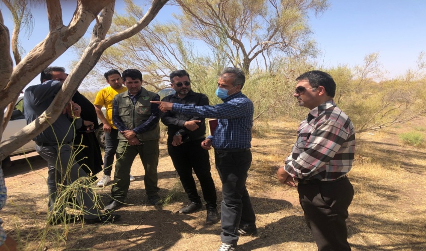 بازدید کارشناسان سازمان منابع طبیعی کشور از تاغزارهای شهرستان اشتهارد 