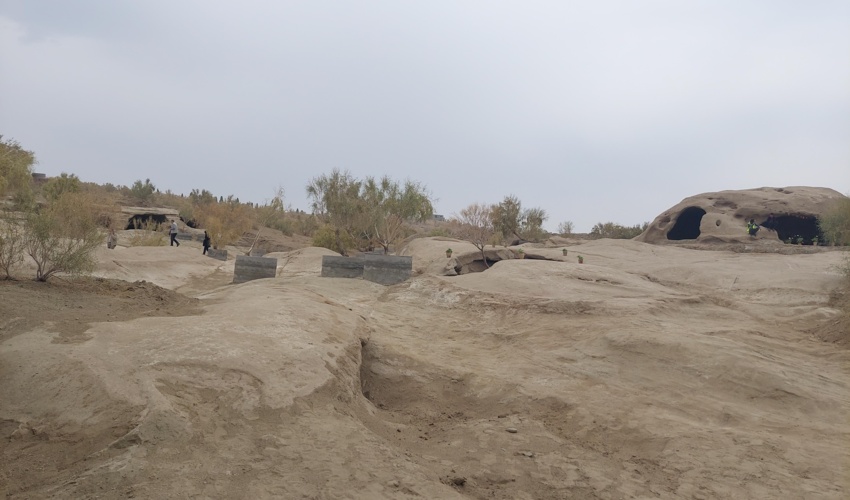 گردشگری پایدار از مهمترین راههای مشارکت در احیای منابع طبیعی است