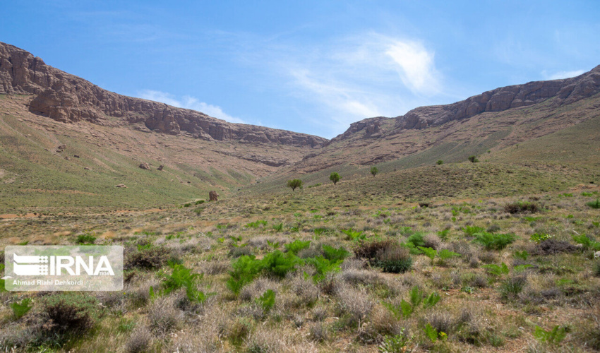 برنامه تعیین تکلیف مراتع استان البرز ابلاغ شد