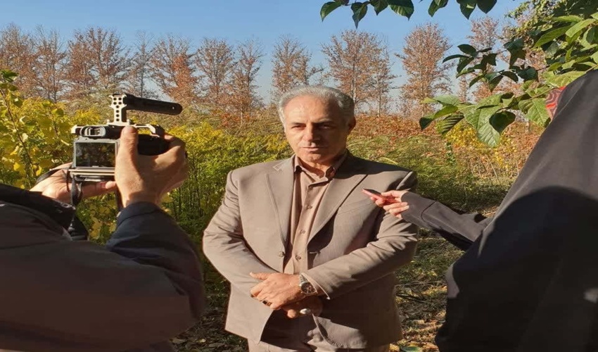 ۲.۵ میلیون هکتار عرصه طبیعی کشور برای نهالکاری هدفگذاری شده است